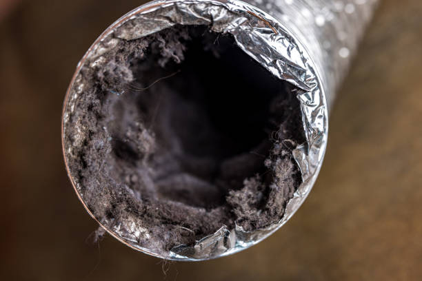 Best HVAC Air Duct Cleaning  in West Puente Valley, CA