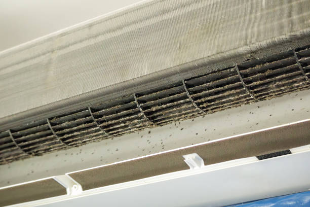 Best Air Vent Cleaning Services  in West Puente Valley, CA